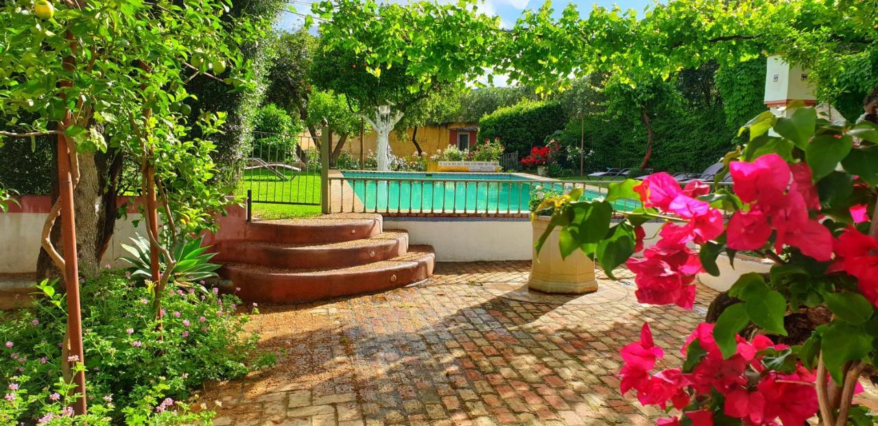 Villa Cortijo El Triguero N-398 Ctra Carmona – El Viso del Alcor Km 18 Exterior foto