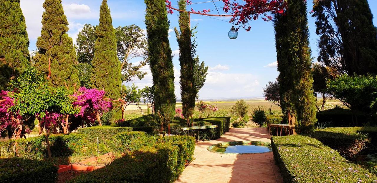 Villa Cortijo El Triguero N-398 Ctra Carmona – El Viso del Alcor Km 18 Exterior foto