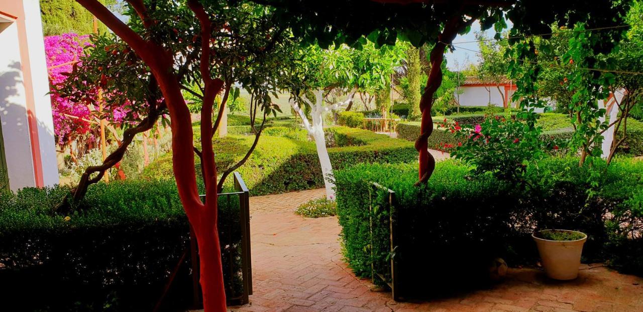Villa Cortijo El Triguero N-398 Ctra Carmona – El Viso del Alcor Km 18 Exterior foto