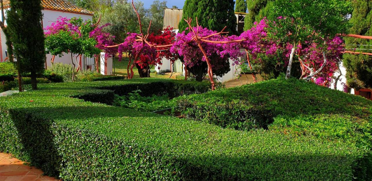 Villa Cortijo El Triguero N-398 Ctra Carmona – El Viso del Alcor Km 18 Exterior foto