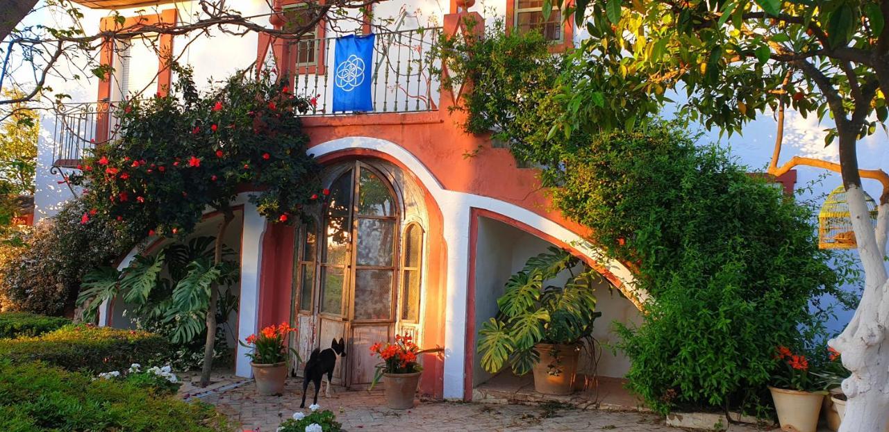 Villa Cortijo El Triguero N-398 Ctra Carmona – El Viso del Alcor Km 18 Exterior foto