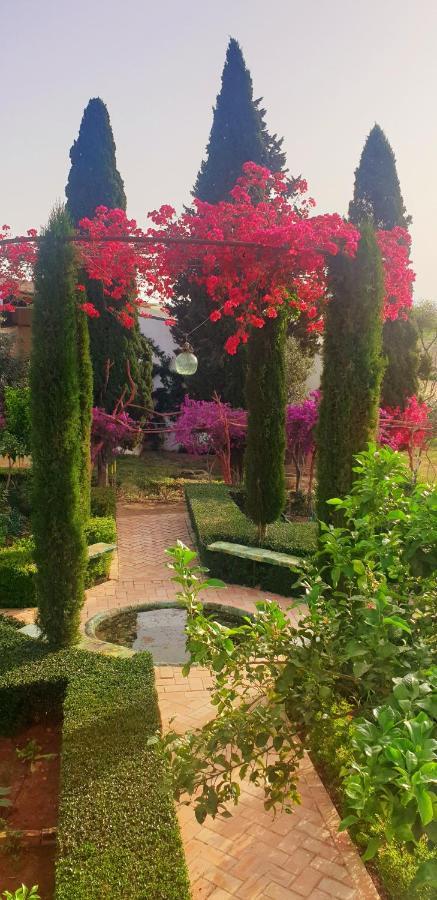 Villa Cortijo El Triguero N-398 Ctra Carmona – El Viso del Alcor Km 18 Exterior foto