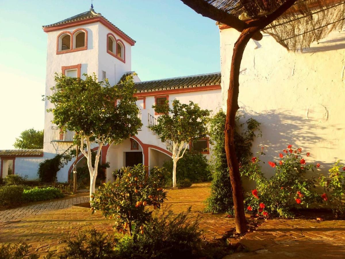 Villa Cortijo El Triguero N-398 Ctra Carmona – El Viso del Alcor Km 18 Exterior foto