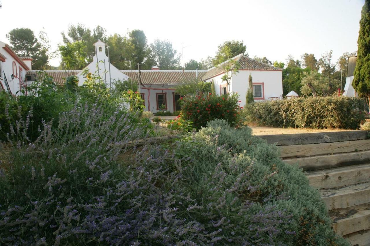 Villa Cortijo El Triguero N-398 Ctra Carmona – El Viso del Alcor Km 18 Exterior foto