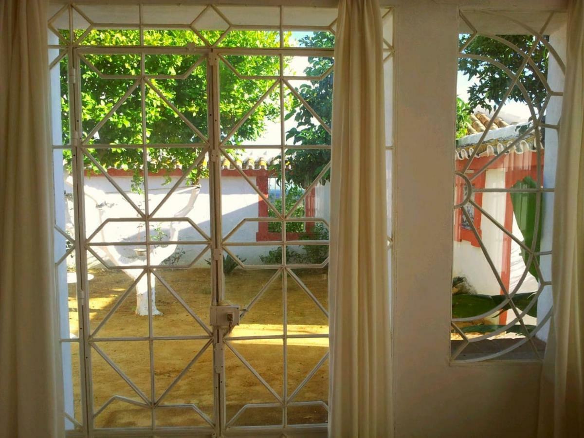 Villa Cortijo El Triguero N-398 Ctra Carmona – El Viso del Alcor Km 18 Exterior foto