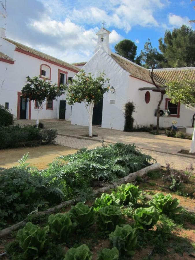 Villa Cortijo El Triguero N-398 Ctra Carmona – El Viso del Alcor Km 18 Exterior foto